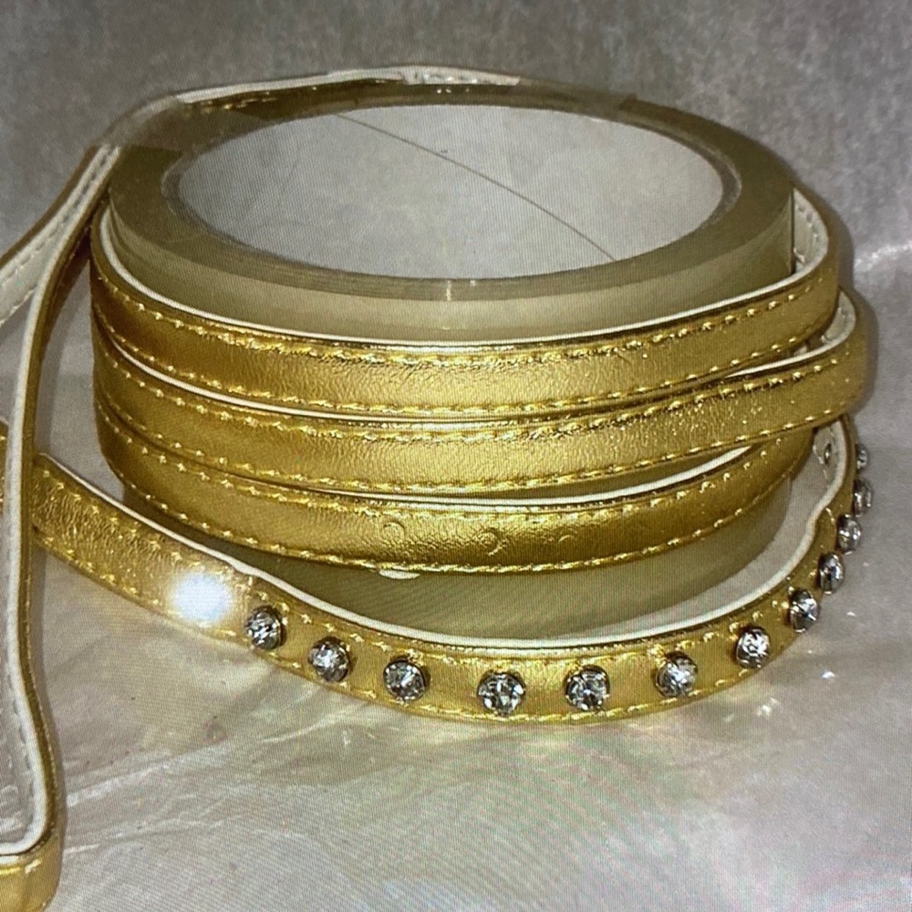 New dog leash gold rhinestone small dog.
